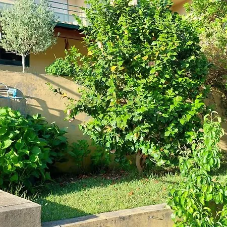 Dream House By Douro Valley